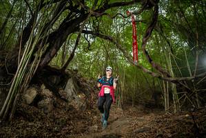 BIB: 
                            <button type="button" onclick="openModal(22179095)" class="btn btn-primary btn-sm float-right btn-popup" data-toggle="modal" data-target=".modal-high-quality">
                        <i class="fas fa-shopping-cart"></i> Add to Cart
                    </button>
                                            <button type="button" onclick="isThisMe(22179095, true)" class="btn btn-success btn-sm float-right btn-popup btn-isme hidden" data-toggle="tooltip" data-placement="bottom" title="นี่คือรูปของคุณใช่ไหม คลิกที่นี่เพื่อเอาเข้าอัลบั้ม">
                        <i class="fas fa-plus"></i> Add to album
                    </button>
                    <button type="button" onclick="isThisMe(22179095, false)" class="btn btn-warning btn-sm float-right btn-popup btn-isnotme hidden">
                        <i class="fas fa-ban"></i> Remove from album
                    </button>